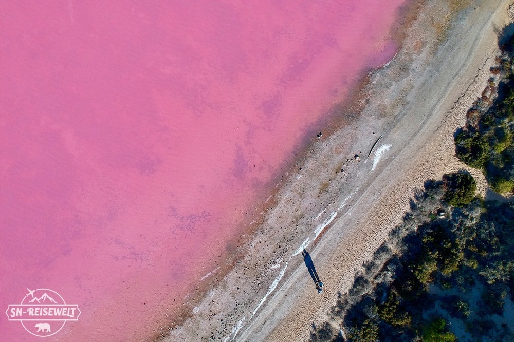 Pink Lake in Westaustralien